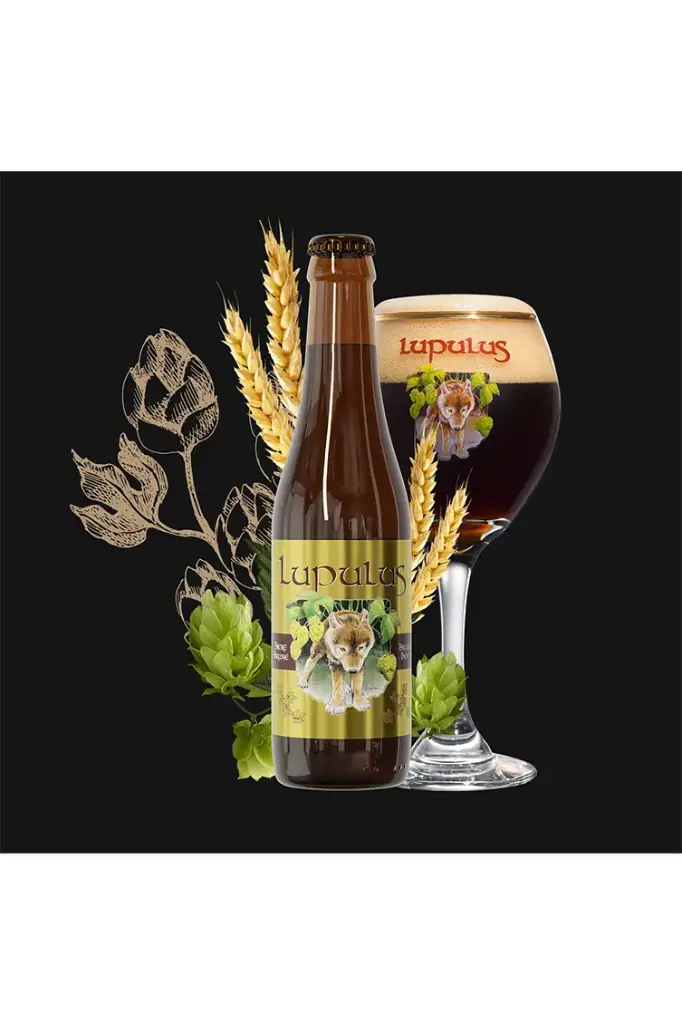 Lupulus Brune - 8,5°