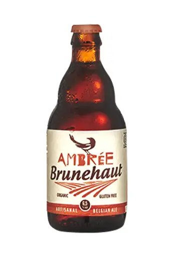 [50550] Brunehaut Ambrée
