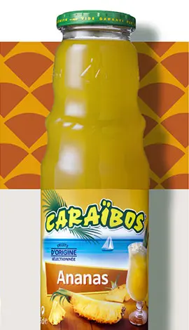 [215166] Caraibos Ananas